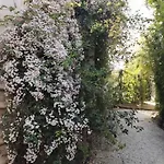 Coeur D'herault - Et D'hotes - & Massages 3*